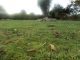 Sur la commune de Plouarzel, terrain de 400 m�