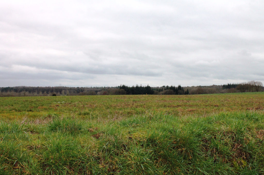 Terrain Loyat 875 m2 ! Terrain Loyat 875 m2 !