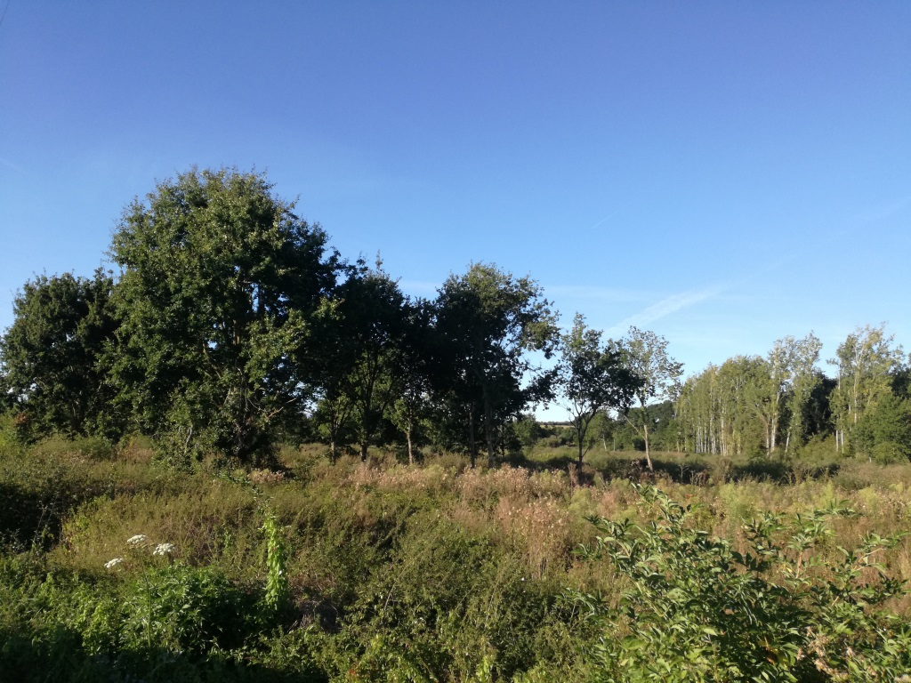 Terrain proche bourg Terrain proche bourg