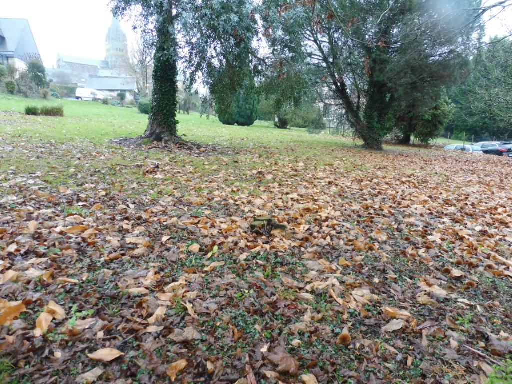 A VENDRE TERRAINS CONSTRUCTIBLE ST MALO DE PHILY 35480 ILLE ET VILAINE BRETAGNE A VENDRE TERRAINS CONSTRUCTIBLE ST MALO DE PHILY 35480 ILLE ET VILAINE BRETAGNE