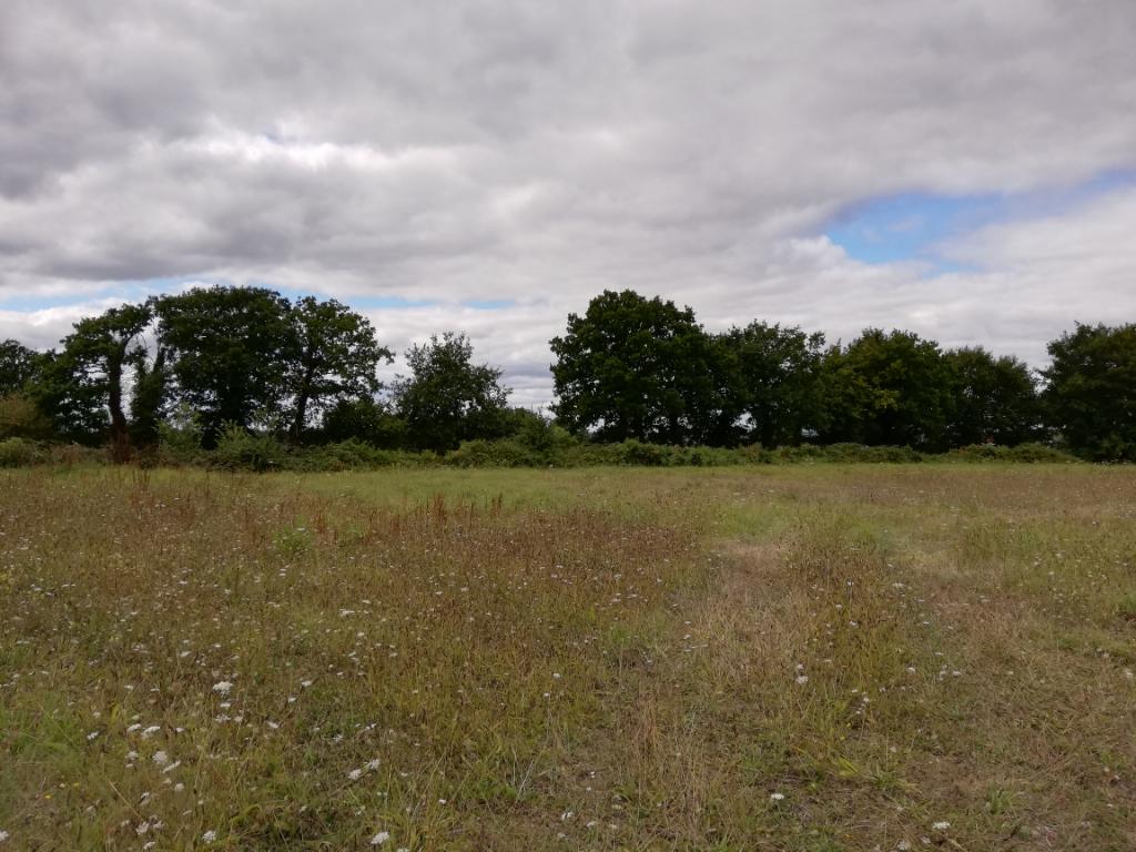 Terrain Ploermel 950 m2 Terrain Ploermel 950 m2