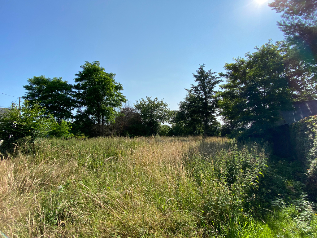 A VENDRE TERRAIN CONSTRUCTIBLE ET TERRES AGRICOLES ILLE ET VILAINE BRETAGNE A VENDRE TERRAIN CONSTRUCTIBLE ET TERRES AGRICOLES ILLE ET VILAINE BRETAGNE