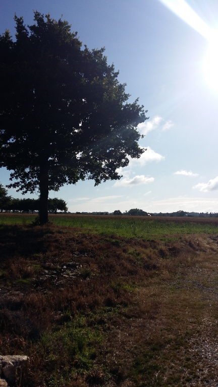 A VENDRE TERRAIN 35550 PIPRIAC A VENDRE TERRAIN 35550 PIPRIAC