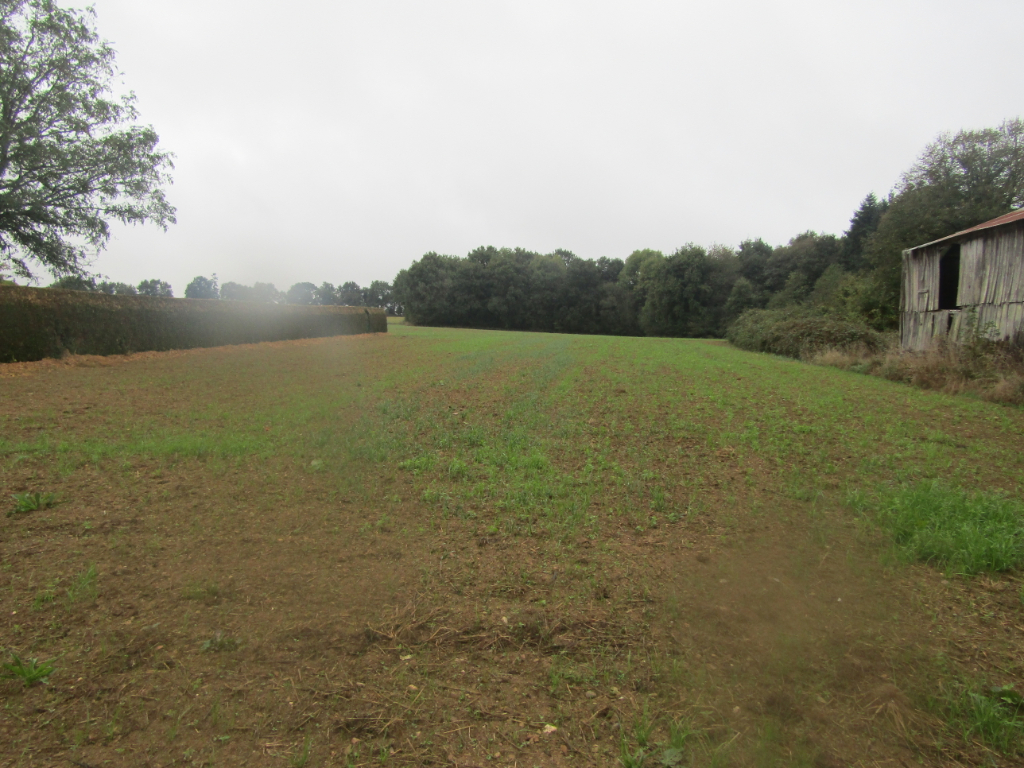 A VENDRE TERRAIN CONSTRUCTIBLE 35550 PIPRIAC A VENDRE TERRAIN CONSTRUCTIBLE 35550 PIPRIAC