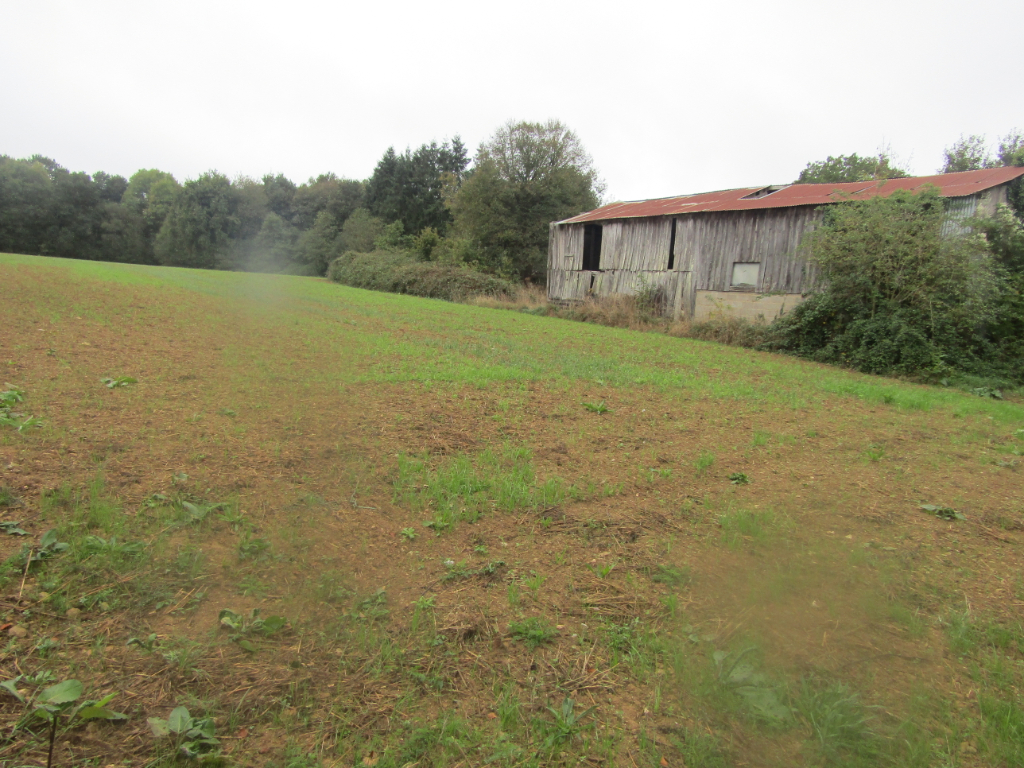 A VENDRE TERRAIN CONSTRUCTIBLE 35550 PIPRIAC A VENDRE TERRAIN CONSTRUCTIBLE 35550 PIPRIAC