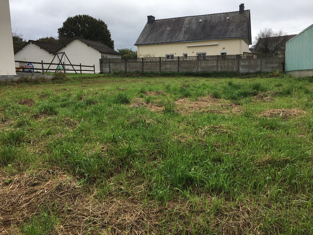 Terrain St Dolay 748 m2 Terrain St Dolay 748 m2