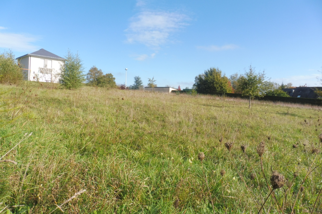 A VENDRE GUIPRY-MESSAC 35480 ILLE ET VILAINE BRETAGNE Terrain constructible Guipry Messac 1000 m2 A VENDRE GUIPRY-MESSAC 35480 ILLE ET VILAINE BRETAGNE Terrain constructible Guipry Messac 1000 m2