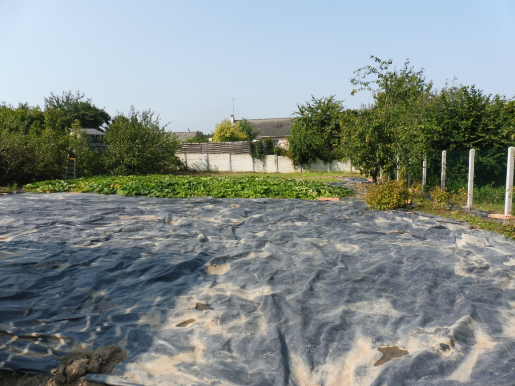 A VENDRE TERRAIN CONSTRUCTIBLE GUIPRY-MESSAC 35480 ILLE ET VILAINE BRETAGNE Terrain Guipry Messac 749m2 A VENDRE TERRAIN CONSTRUCTIBLE GUIPRY-MESSAC 35480 ILLE ET VILAINE BRETAGNE Terrain Guipry Messac 749m2