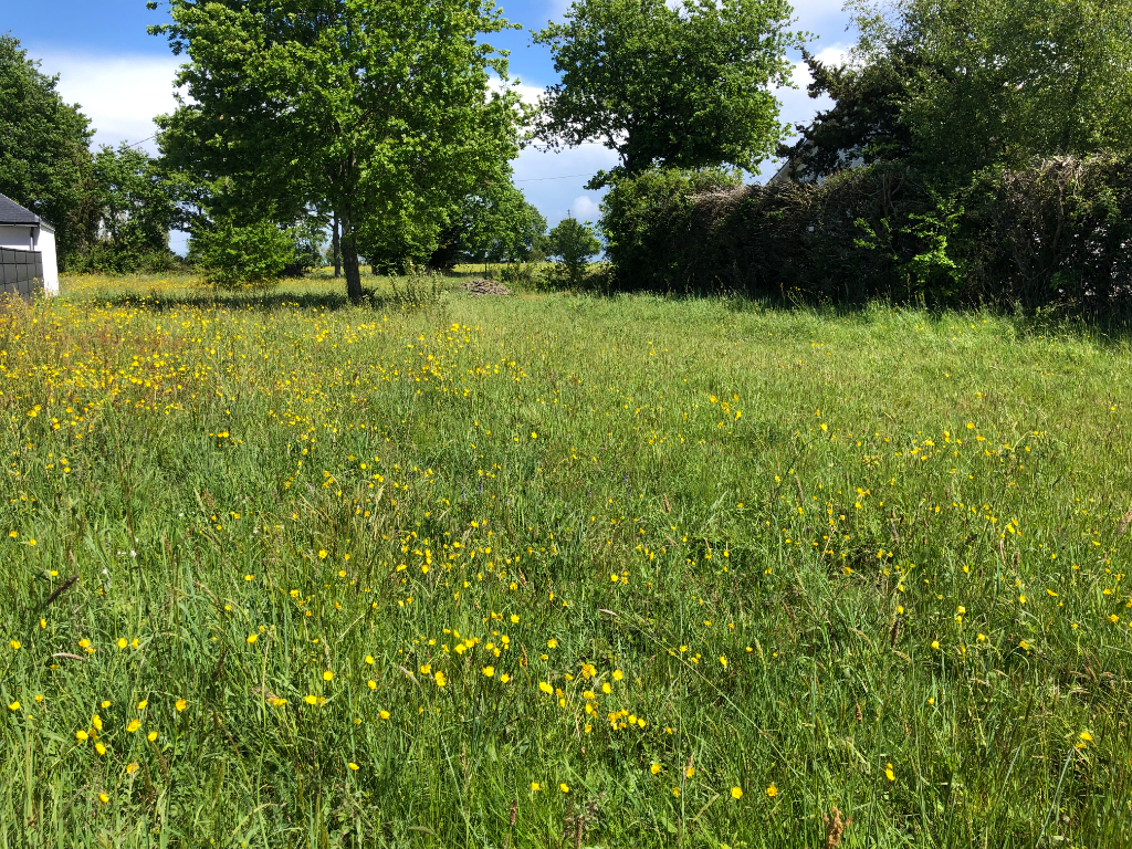 BEAU TERRAIN PROCHE BOURG BEAU TERRAIN PROCHE BOURG