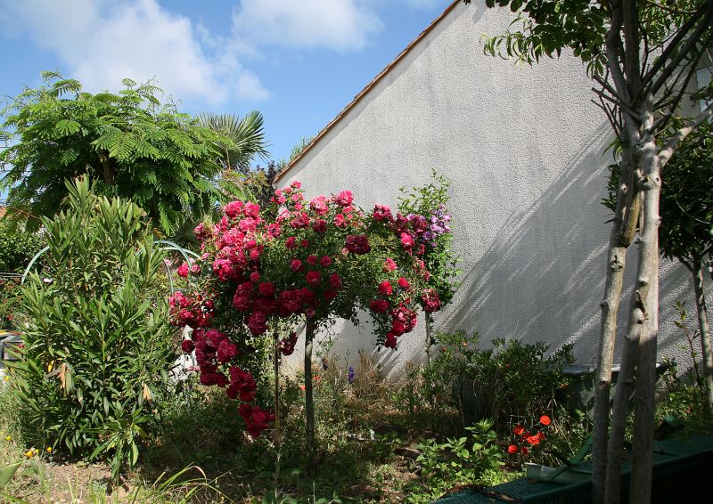 SECTEUR RECHERCHE