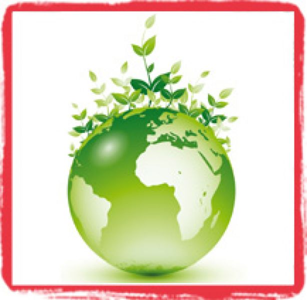 magasin Bio � vendre en vend�e