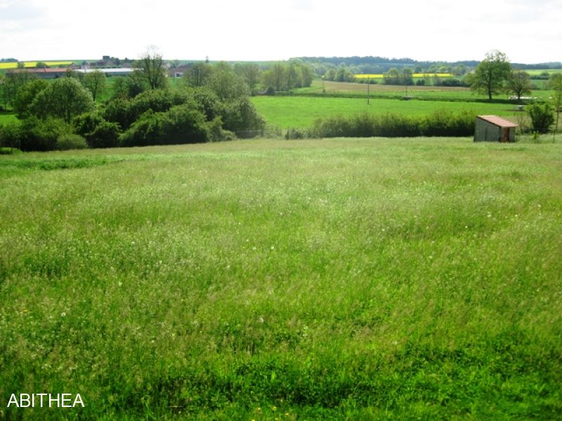 Terrain a b�tir !