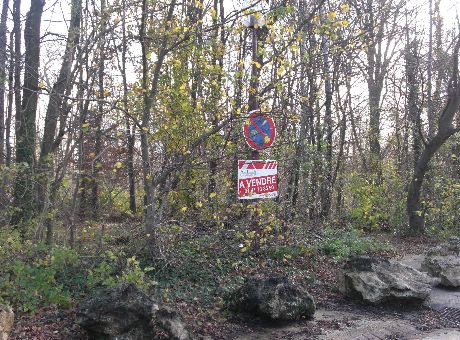 Terrain BEAU TERRAIN DE 1395m�