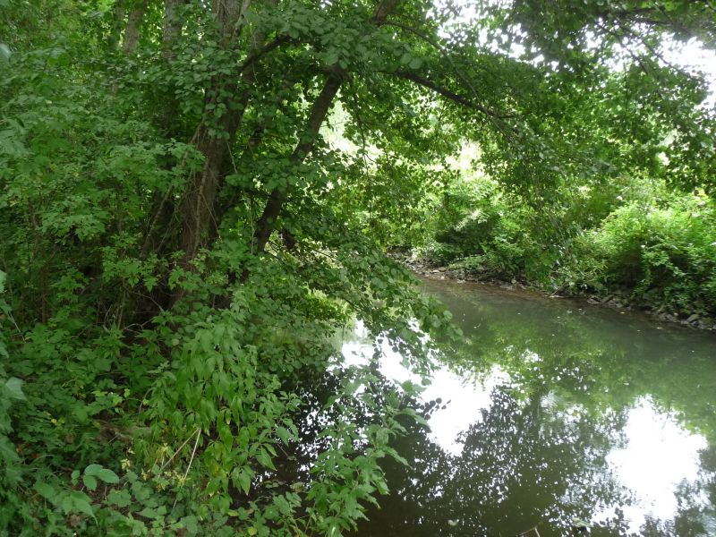 TERRAIN EN BORDURE DE L'AUXANCE