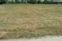Terrain Clohars Fouesnant 1203 m2