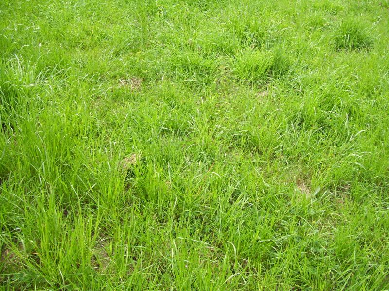 Terrain constructible de 475 m� !