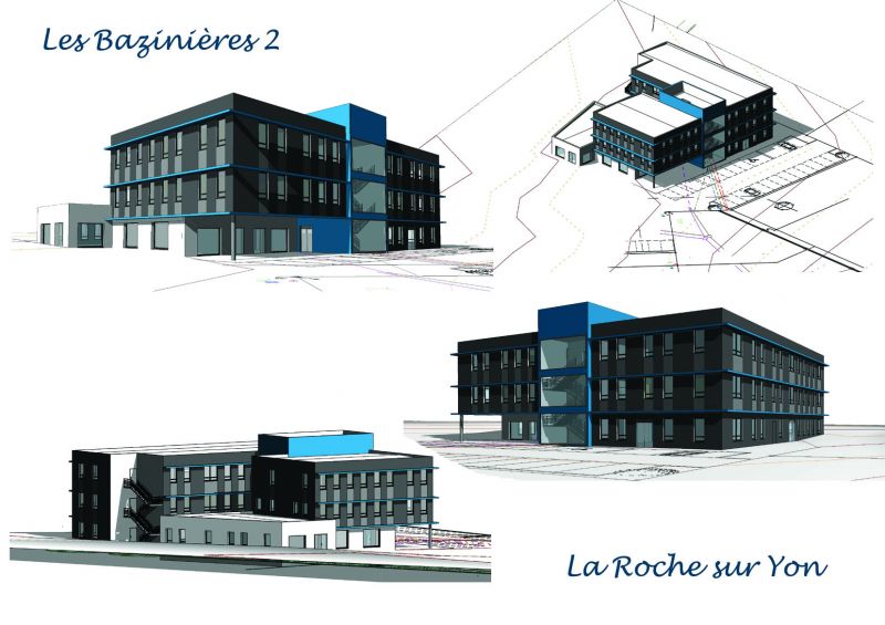 Bureau / local professionnel La Roche-sur-yon 224 m2