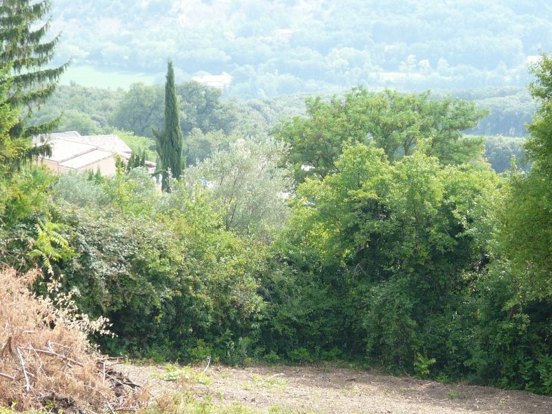 Terrain