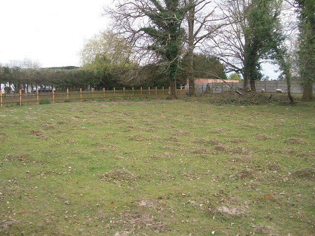 Terrain