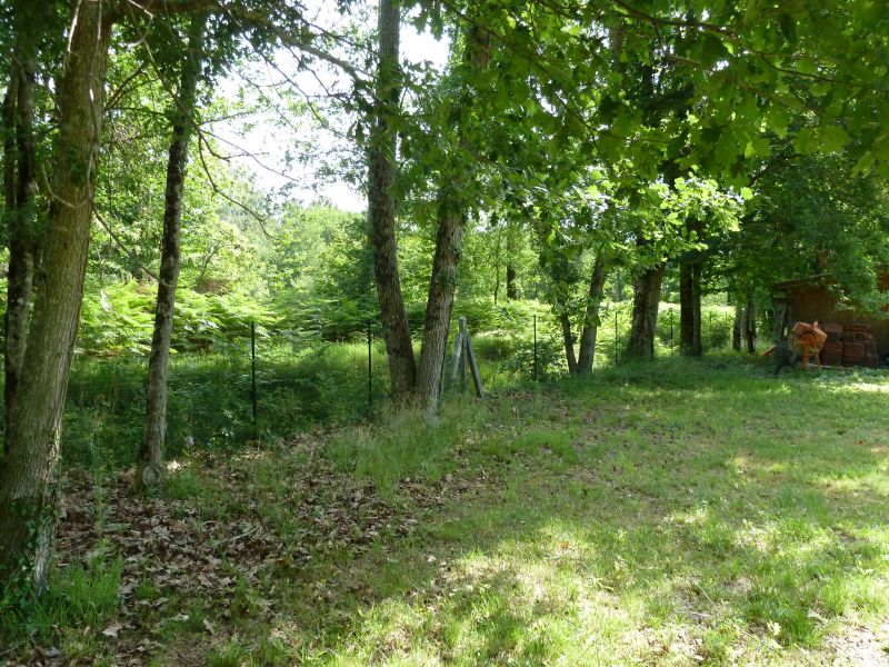 Terrain de  4321 m2 a b�tir situ� � 700m du lac.Biscarrosse
