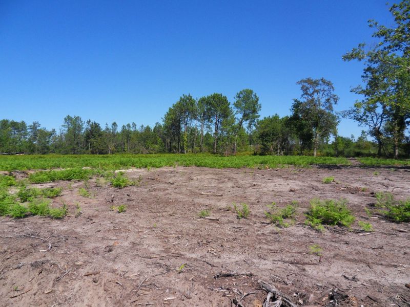 Terrain constructible de 498 m� � Parentis en Born