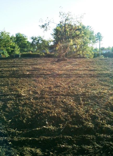 A vendre Terrain Sanguinet Centre 832 m2 utiles