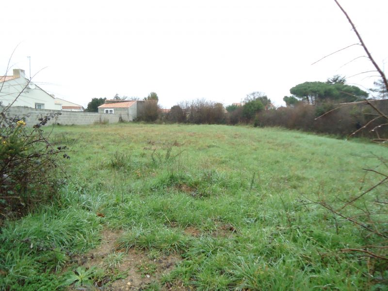 A VENDRE Terrain Chateau D Olonne