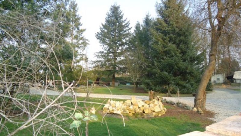 A Vendre - Terrain Arbor� - 10 MN de Libourne