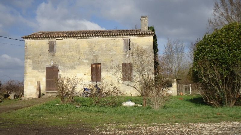 5 mn de Libourne-Propri�t� agricole de 8 ha