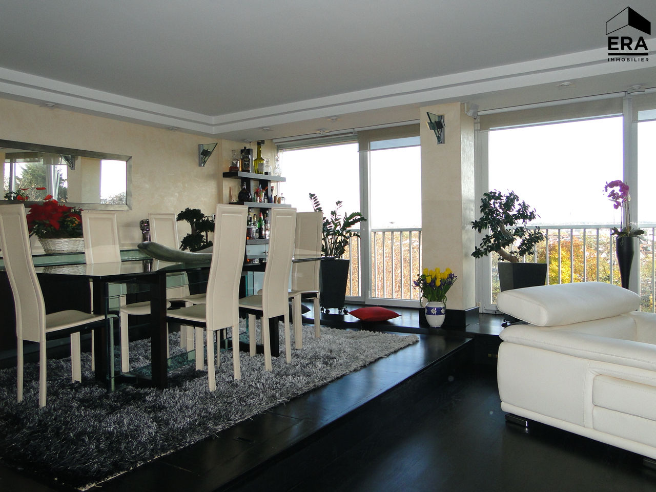 Appartement Nogent Sur Marne 5 pi�ce(s) 105 m2