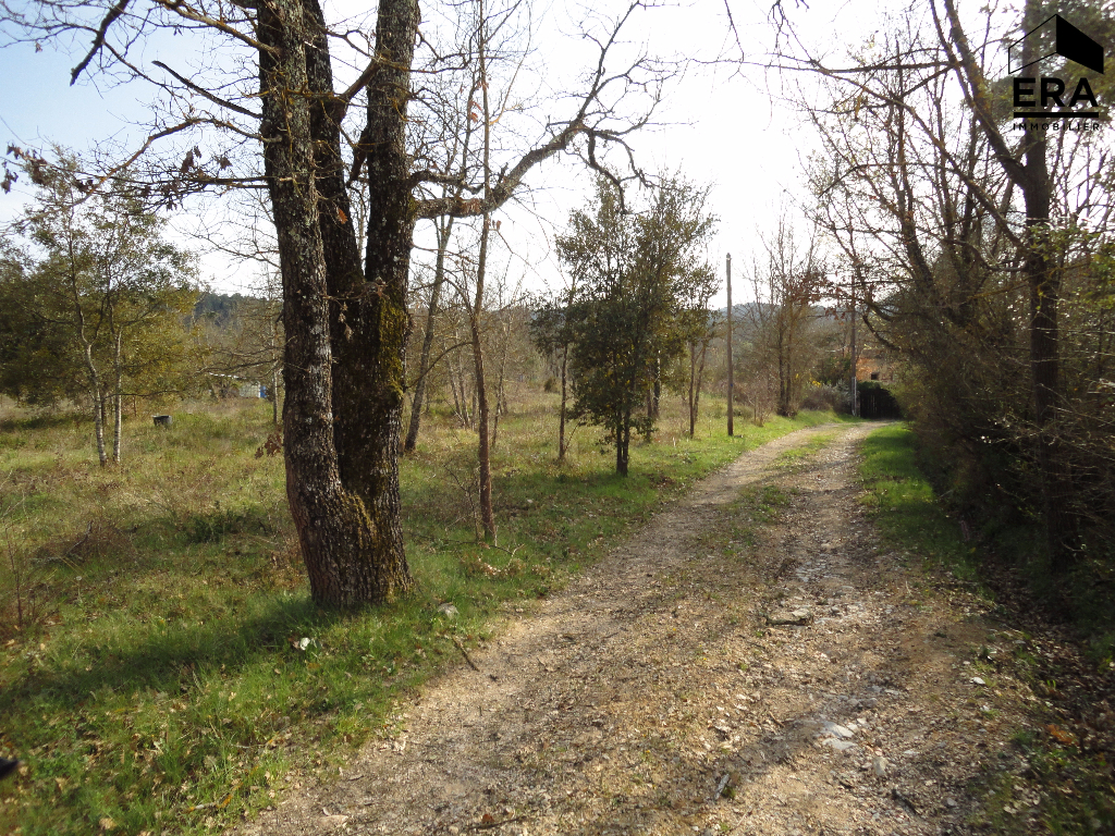 Terrain proche du Lac