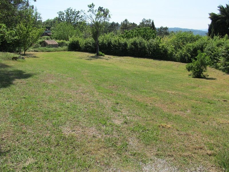Terrain