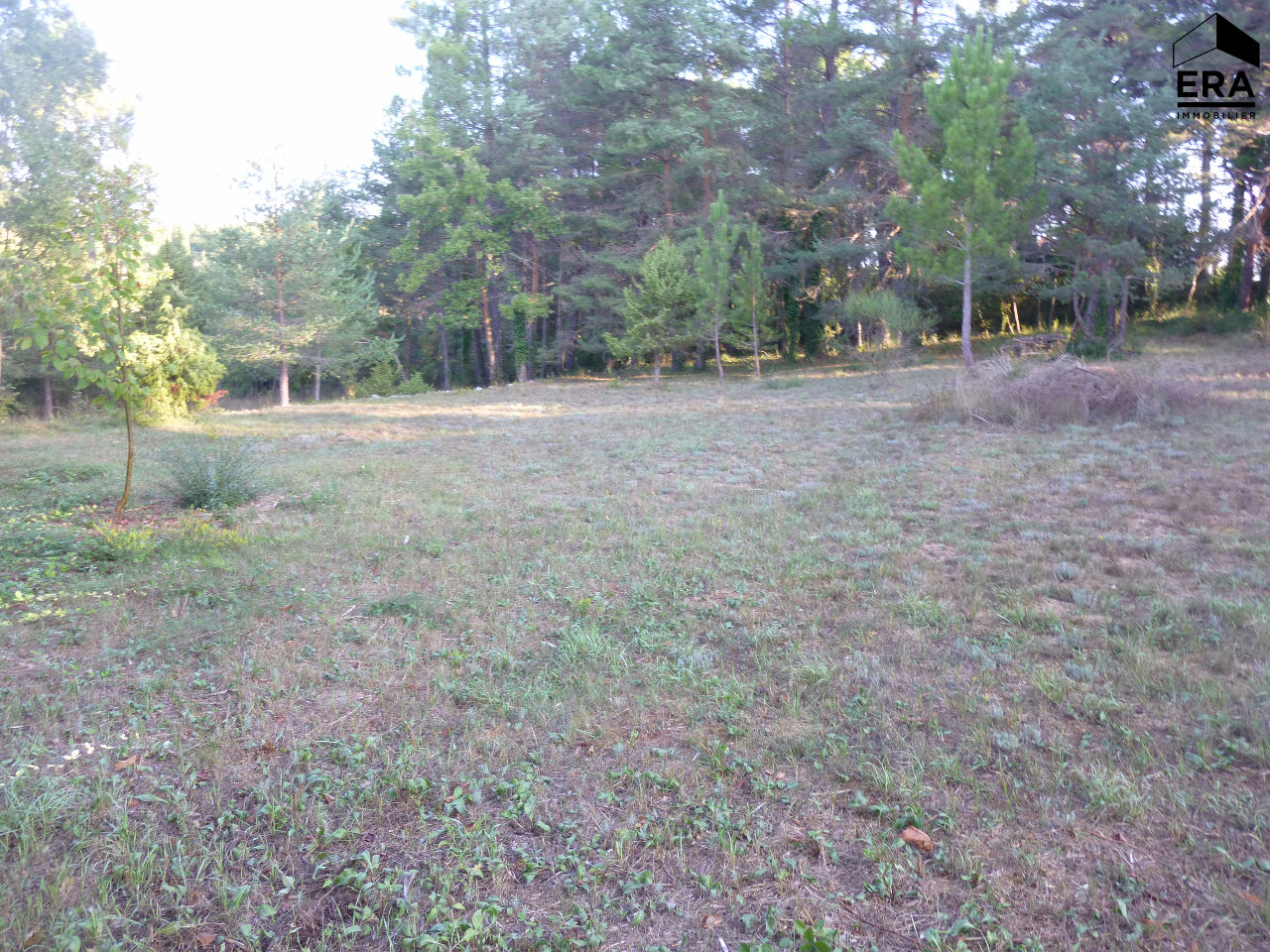 Terrain Montauroux