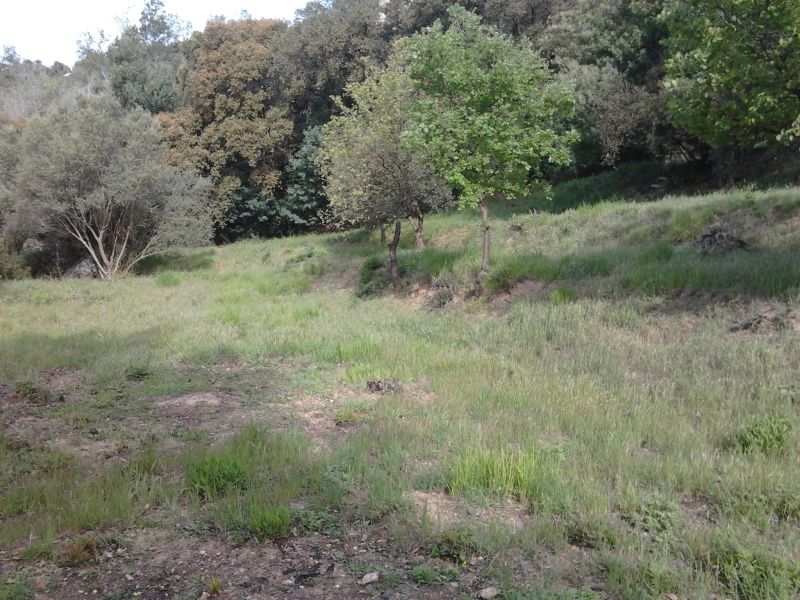 Terrain Hyeres