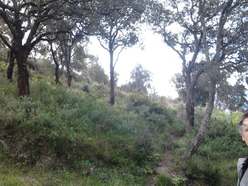 Terrain Hyeres