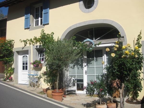 tartegnin - 7 zimmer - 230 m2