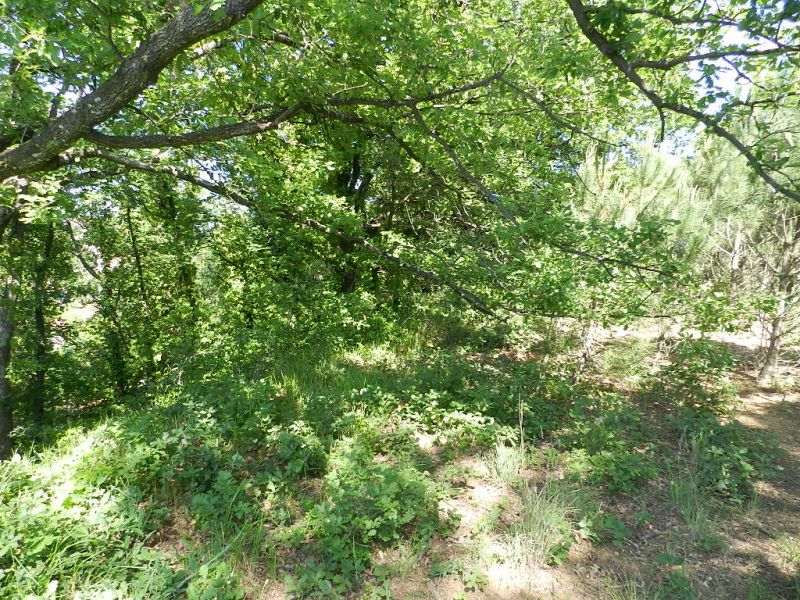 Terrain Cogolin 1166 m2