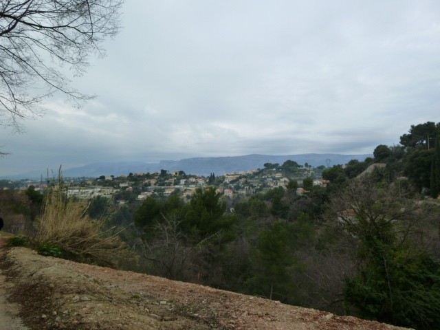 Terrain
