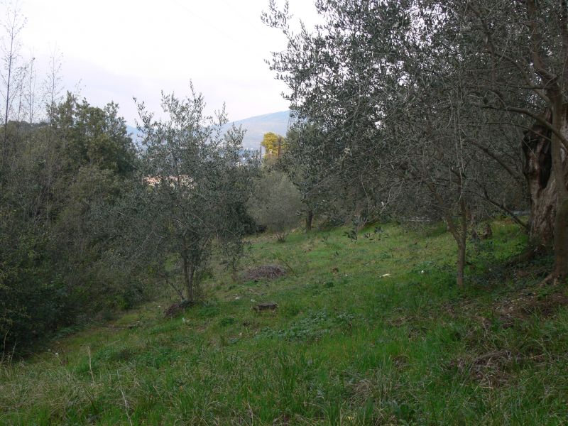 Terrain Nice 1937 m2