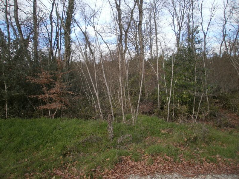 Terrain Leognan 750 m� environ 178.500�