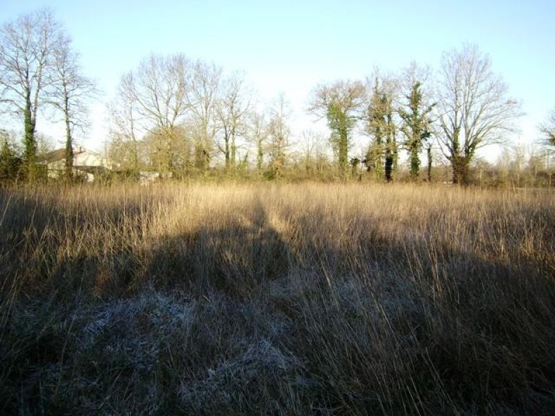La roche sur Yon terrain constructible de 2639m�