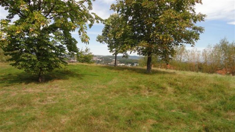 Terrain Saint Etienne 700 m2
