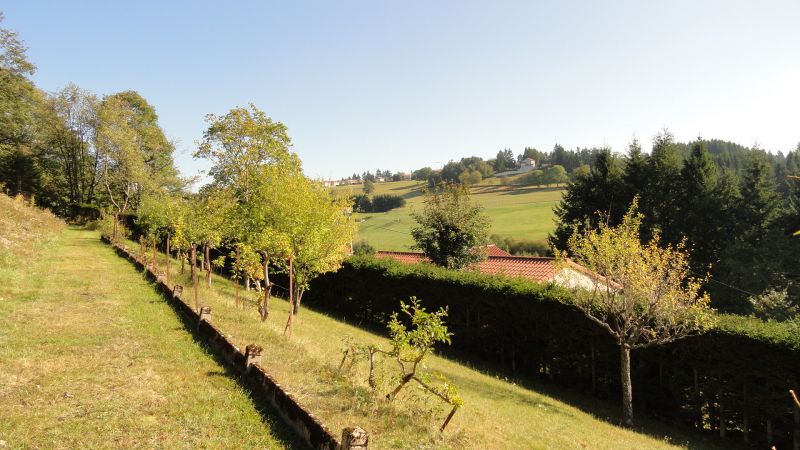 Terrain La Seauve Sur Semene 2142 m2