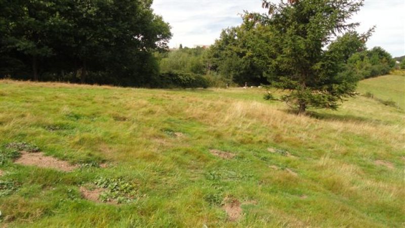 Terrain Saint Etienne 981m�