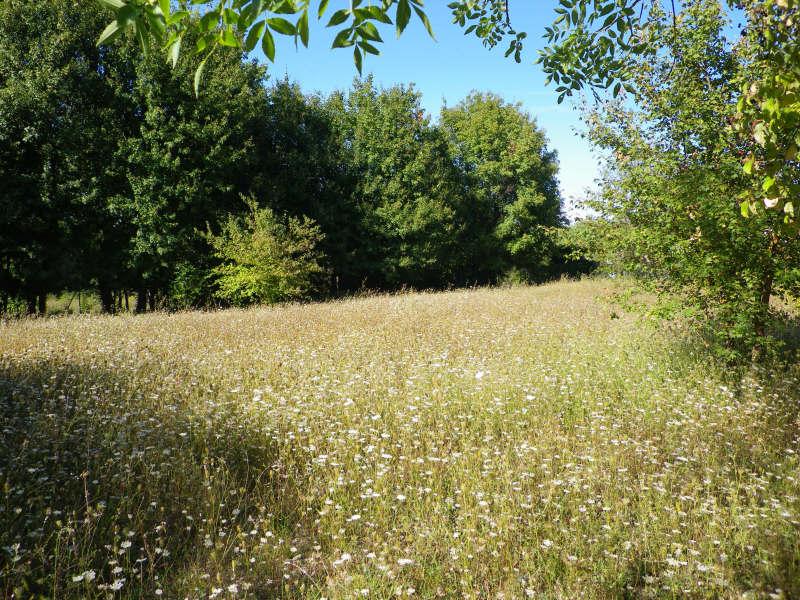 Mazaugues, terrain � b�tir proximit� village
