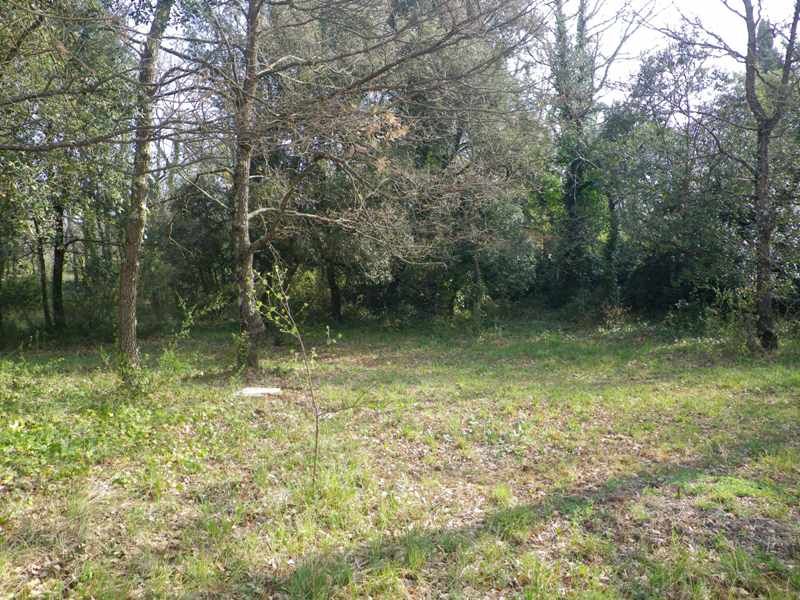 Terrain Neoules 2500 m2 � b�tir exposition sud