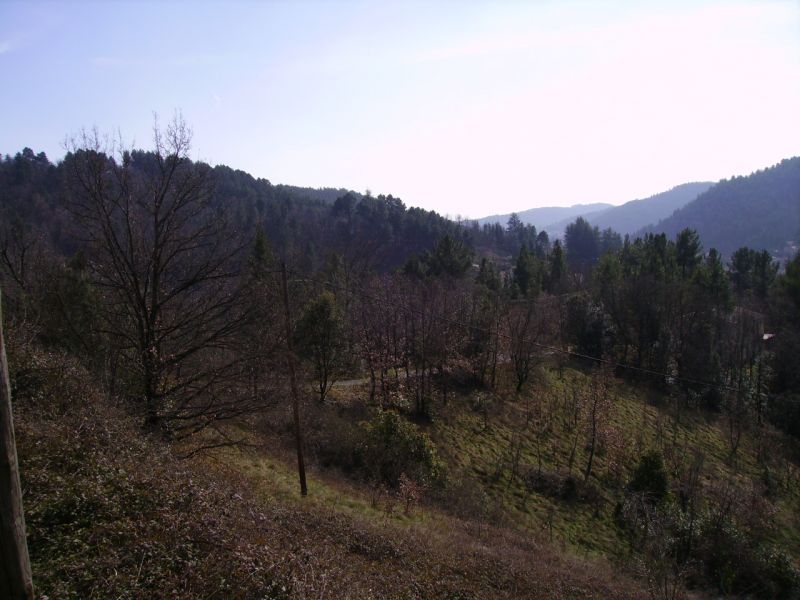 Terrain Vals Les Bains 2000 m2