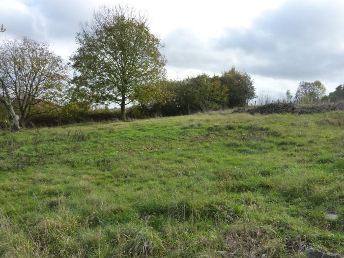 SUPERBE TERRAIN A BATIR DE 800 M� SUR 30 ML DE FACADE AVEC VIABILITE A PROXIMITE AU CALME DANS UN JOLI VILLAGE VALLONE ET BOISE NON CLASSE ENTRE CHAUMONT ET BEAUVAIS