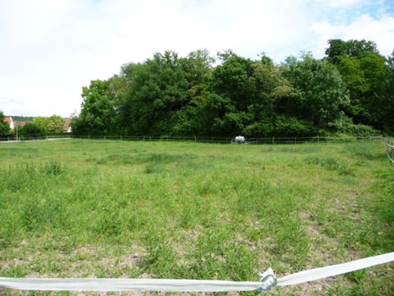 Terrain Bazemont 667 m2
