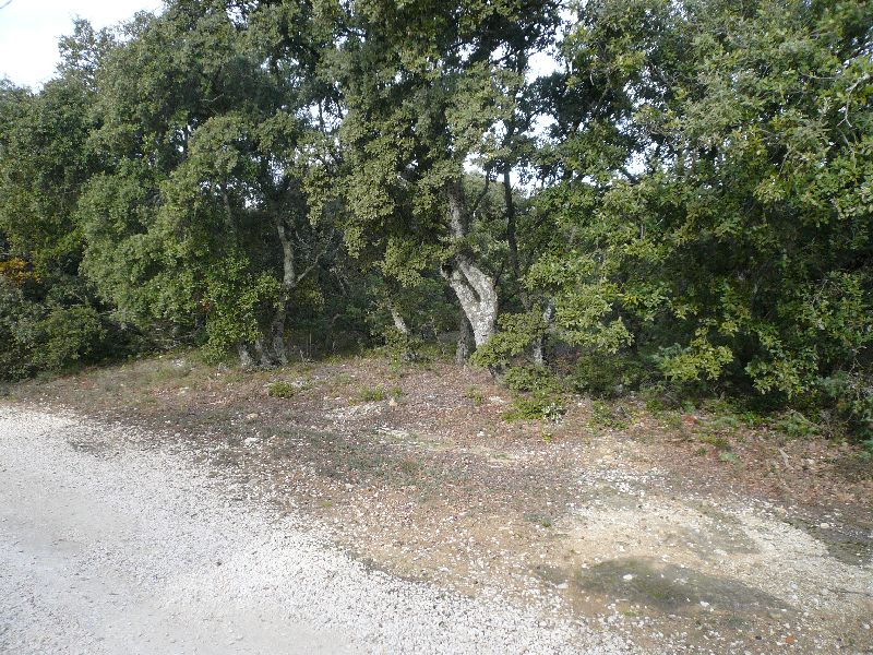 QUARTIER RESIDENTIEL RECHERCHE - TERRAIN CONSTRUCTIBLE DE 4000 M2